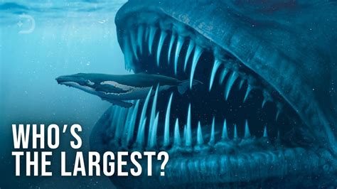 What is the largest $$4.